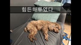 오늘의 맹이#2