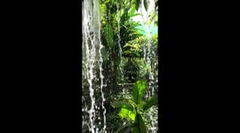 Behind a Garden Waterfall
