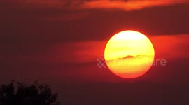 A stork flies past a setting sun in Thailand.