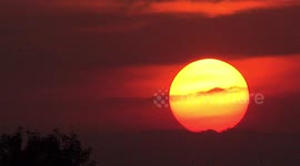 A large bird flies through a big sunset in Thailand.
