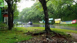 Heavy Rain