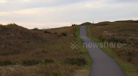 Sunset in the Sinduri Coastal Sand Dunes in Korea