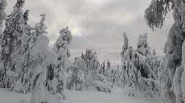 This is what 60 inches of snow looks like: Swedish skier near Arctic Circle captures incredible footage