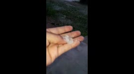 GRANIZO EN LA JUNGLA ??