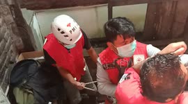Cat rescued from abandoned house after falling into 10-metre-deep well