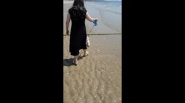 Puppies on the tidal flat