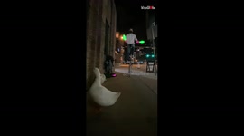Juggler Performing An Amazing Hand Juggling Trick Using LED Pins On His  Unicycle