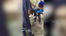 Pet dog rescued after getting his head stuck in a discarded plastic jar