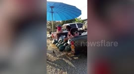 Loyal pet dog wears pink apron and hat to help on owner’s watermelon stall