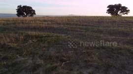 Naturaleza en la provincia de Córdoba (España)