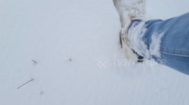 Beast from the East 2: Norfolk man plans foot into snow drift and is stunned by how deep it is