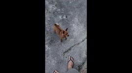 Kate, the water chaser