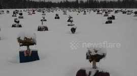 The Silent People of Finland