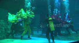 Chinese ocean park prepare underwater lion dance to welcome Lunar New Year