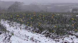 Snow in West Cornwall