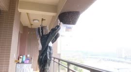 Bee keeper removes giant swarm from resident's balcony in China
