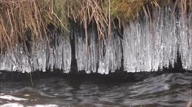Lough Neagh in Northern Ireland sees incredible icicle formation