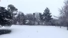 US: Winter Storm Dumps Heavy Snow In Massachusetts