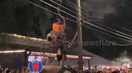 Exuberant Tampa men fall from tree after Buccaneers win Super Bowl