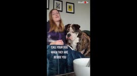 Call you dogs name challenge