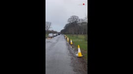 Herd of Deer Jumps over a Puddle