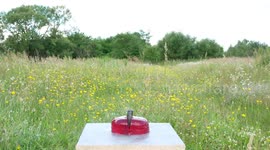 Firecrackers encased in jelly sends the substance flying in YouTuber's experiment