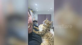 Meet the cat who loves to sing duets - but refuses to do anything by Take That despite his owner being Jason Orange in a tribute band