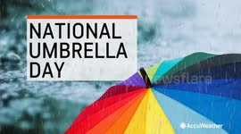 National Umbrella Day: Fun facts about umbrellas
