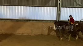 2 year old girl riding and trotting a horse all by herself