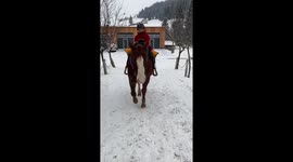 Little 2 years old rides her horse to the riding arena.
