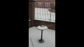 Watch as Beast from the East drives heavy snow and arctic air into coastal parts of NE England