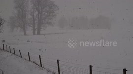 Heavy SNOW continues in Suffolk, UK (A12)