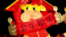 Lanterns illuminate Chinese city for upcoming Lunar New Year celebrations