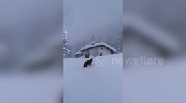 Insane footage shows the moment a man treks through snow so thick it covers all but his head and shoulders.