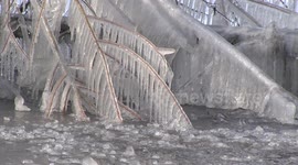 Large icicles hanging from hedge row look like something straight out of Narnia