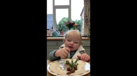 Lockdown baby chooses brand new food to try from a plat