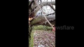 US: Severe Ice Storm Topples Tree In Richmond, Kentucky