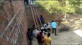 Bull stuck on a roof triggers huge rescue operation in north India