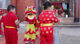 Schoolchildren perform lion dance for Chinese New Year