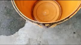 Snake sends panic among residents after they find it hidden inside a bucket in Eastern India
