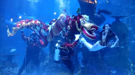Divers perform traditional lion dance to celebrate the Lunar New Year of the Ox in Indonesia