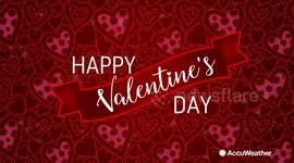 The journey of Valentine’s Day flowers