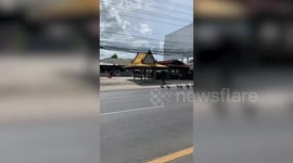 Geese march in single file along the road like military officers