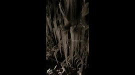 Amazing footage of huge and beautiful icicles by the side of the road captured by runner in Essex