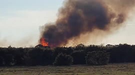 Watch as wildfire burns through the New Forest as strong, gusty winds threaten to make the fire much worse