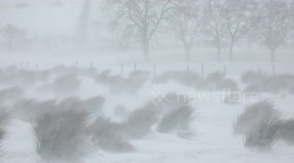Severe blizzard blasts Northern Ireland after record-breaking minus temperatures