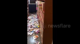 Japan quake dislodges comics from shelves of manga cafe