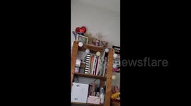 Earthquake in Kanagawa, Japan