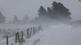 Epic Blizzard Scene From N. Ireland - Beast from East