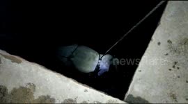 Villagers in India work through the night to rescue cow fallen down well